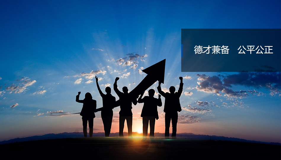 选才观